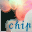 CHIPS*HTML,CSS,JS,Skin
